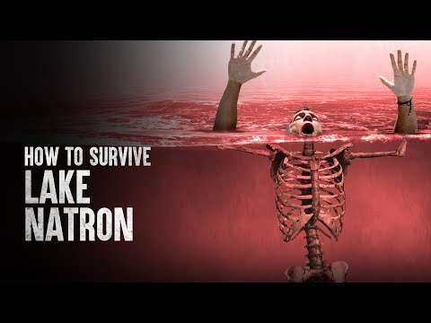How to Survive Lake Natron