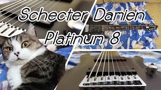 Video thumbnail for Schecter Damien Platinum 8 - ทดสอบกีต้าร์ 8 สาย by ChekTheMetal