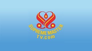 SupremeMasterTV Live 🎦