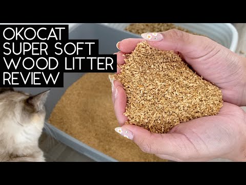 OKOCAT SUPER SOFT LITTER REVIEW | SVEN AND ROBBIE