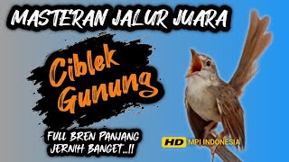 Download lagu Jernih banget !! MASTERAN CIGUN BREN PANJANG Jalur juara❗ mp3