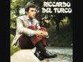 Luglio - Riccardo del Turco 