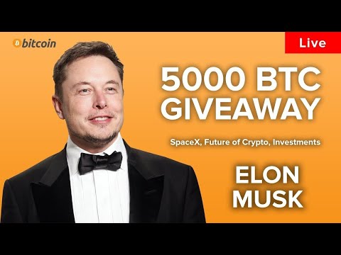 Tesla Live Conference about Gigafactory in Berlin ∽ TSLA Earnings Recap 7/29/20