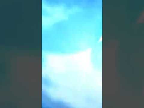 Primal kyogre vs primal groudon vs mega rayquaza vs mega deoxys