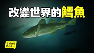 [問卦] 古代鱈魚黃魚泛濫484相當於1尾10~25而已?