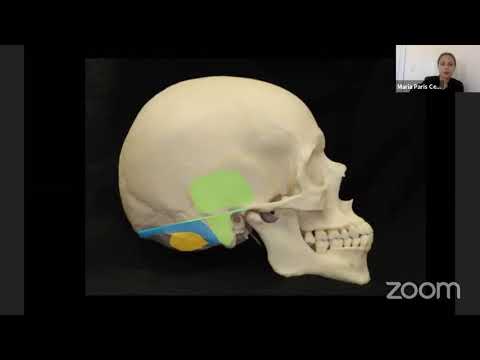 Surgical Anatomy for Transcranial Skull Base Approaches- Maria Peris Celda