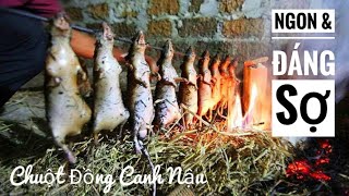Bữa Ăn Ngon & Đáng Sợ - Đặc sản Chuột Đồng làng Canh Nậu/ NhamTuatTV - Dog in Vietnam
