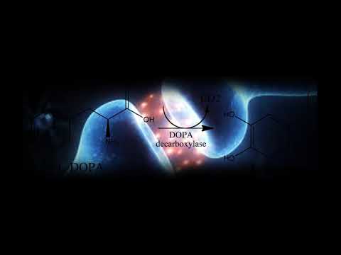 - L-DOPA (Levodopa) - Binaural Brain Doping (Motivation, Happiness, Improved Cognitive Functions)