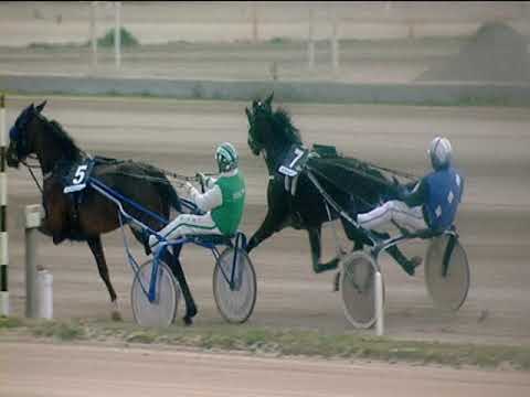 Trotto 31/12/2018 - 4ª corsa