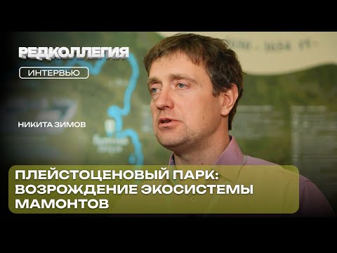 «Цивилизация в ситуации истощения ресурсов». Как степи мамонтов спасут нас от глобального потепления