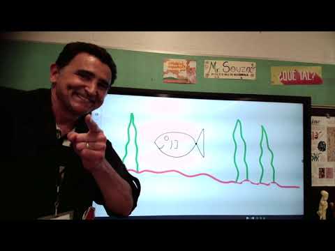Kindergarten Overlap Fish Art Mr. Souza