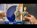 Unboxing a Human Anatomy Model