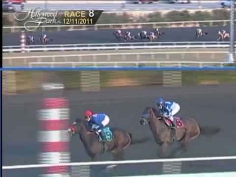 The 15th Running of the Cat's Cradle Handicap - $80,000 Added