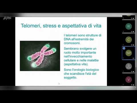 Ansia e Stress Rilassarsi con il Training Autogeno