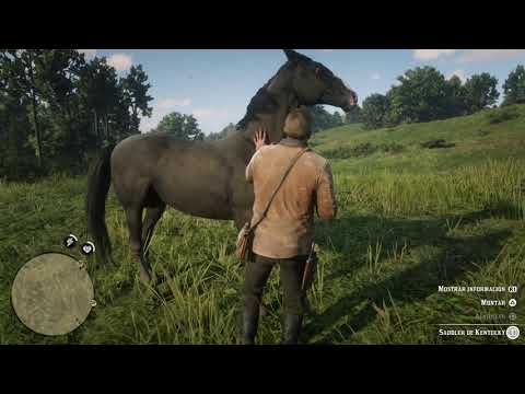 Red Dead Redemption 2- Domando un Saddler de Kentucky