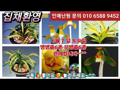 유튜브 썸네일