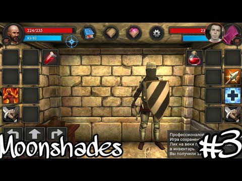 Секреты стен и 2 этаж подземелья! ⚔️ Moonshades #3