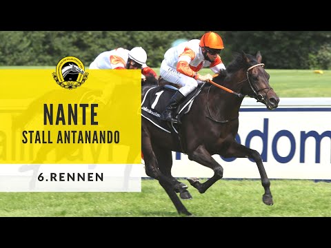 Vollblut Bayern: Dallmayr Ethiopia-Rennen