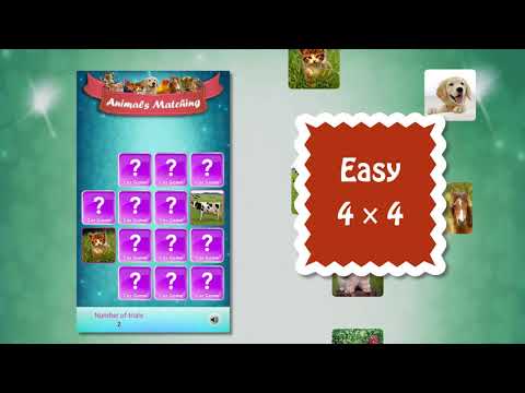 Matching Madness - Animals Video