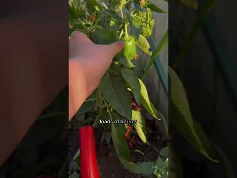 A special place 🤗 #russia #dacha