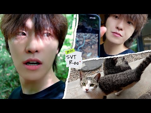 [SVT Record] 빠르게 돌아온 D-day | 친구들과 함께한 즉흥 여행🚘🌿 | 복불복 여행지 정하기📍
