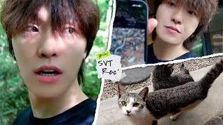 Download lagu [SVT Record] 빠르게 돌아온 D-day | 친구들과 함께한 즉흥 여행🚘🌿 | 복불복 여행지 정하기📍 mp3