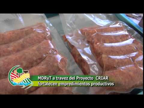 El Proyecto CRIAR apoya a la Asociación de Productores de Camélidos  Caxata APROCAMEL