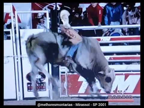 🇧🇷 Rogério Ferreira dos Santos x Pó de Ouro - Mirassol 2001 | Mundial Toyota #rodeio #rodeo
