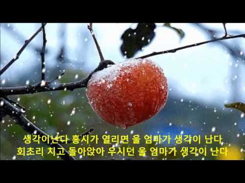 아이콘