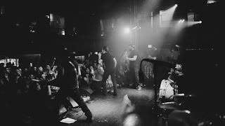 Daron Malakian &amp; The Orbellion - Insane