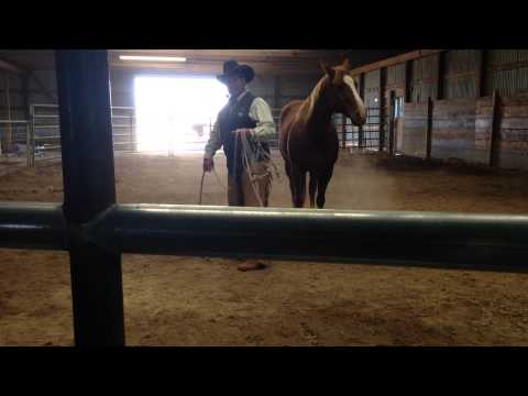 Touch of the Master's Hand 1- Ronnie Moyer