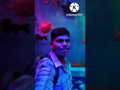 tunnel aquarium in anantapur..