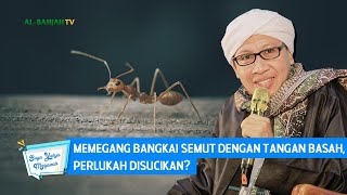 Download lagu Memegang Bangkai Semut dengan Tangan Basah, Perlukah Disucikan? | Buya Yahya Menjawab mp3