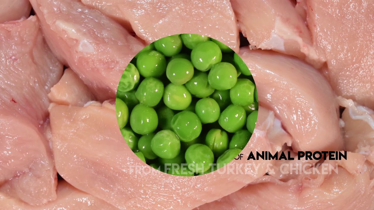 Pureluxe Presentation