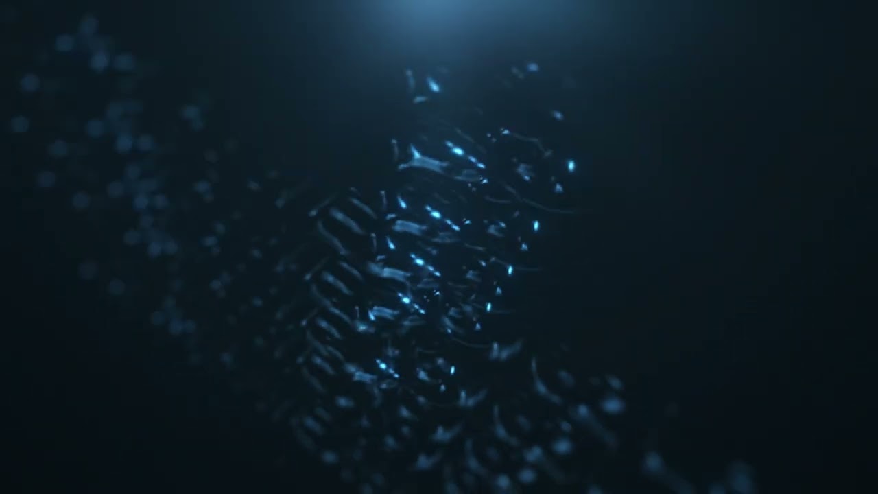 Yajzeel Estevez López-4