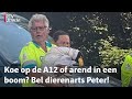 Peter is een expert op het gebied van verdoving | RTV Utrecht