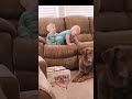 Cute Baby Funny Twerking ️ Mom Daddy