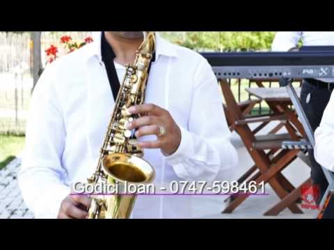 Godici Ioan - Vartejul Sarbesc