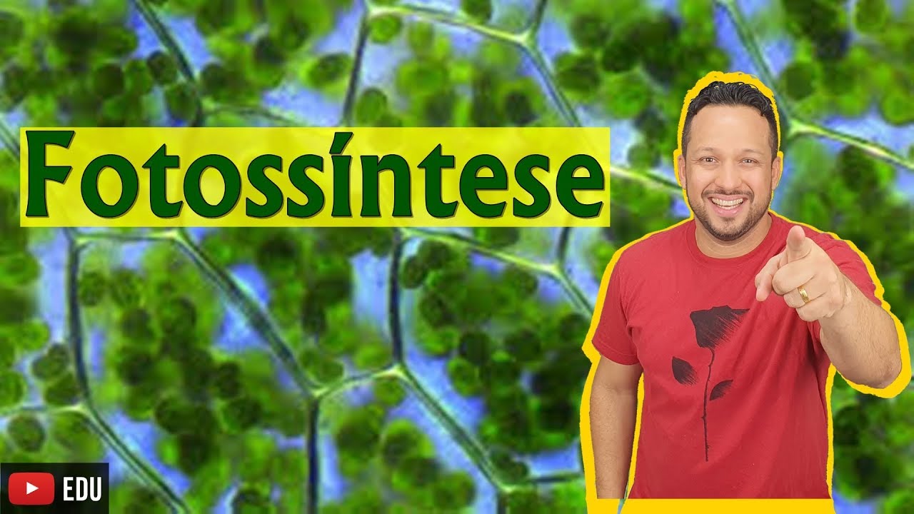 Fotossíntese - Bioenergética - Aula 7