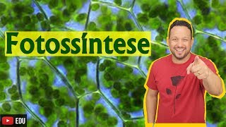 Fotossíntese - Bioenergética - Aula 7