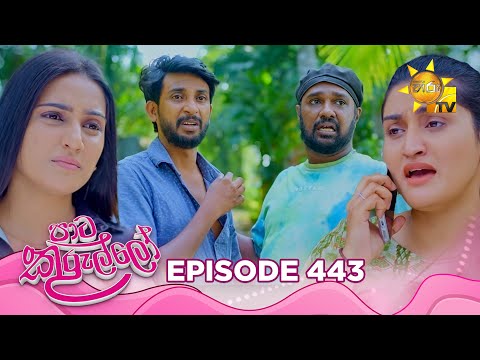 Paata Kurullo - පාට කුරුල්ලෝ | Episode 443 | 2026-01-20 | Hiru TV