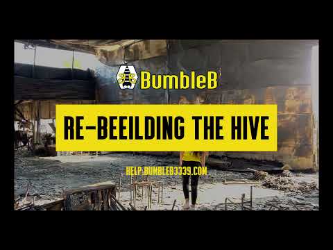 BumbleB 3339 - Help Us Re- BEEILD Our Hive