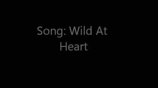 Song: Wild At Heart