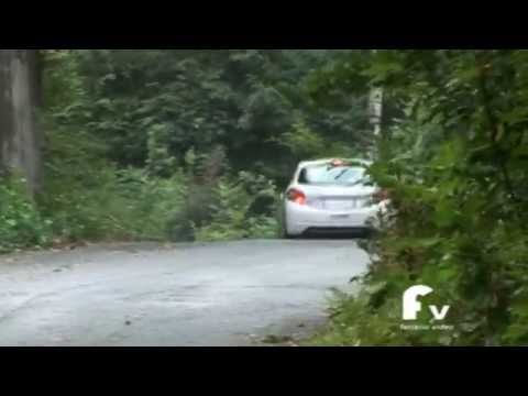 2° Ronde D'Estate 2015 Peugeot 208 R2B 360 gradi,  sorpassi e  drift ( Caveglia Sala)
