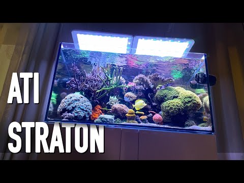 ATI STRATON - Unsere LED für das Meerwasseraquarium I ATI AQUARISTIK
