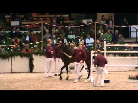 Christo - Poney - Misc Originals