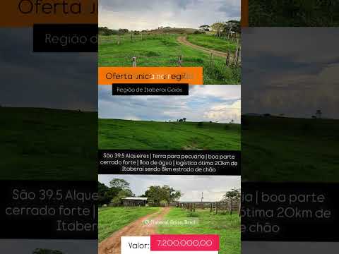 39.5 Alqueires em Itaberaí GO | whatsapp 62 99373-6407