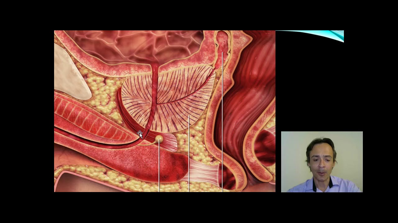 Alexandre Aranha Trigueiro-5