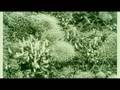 Robert Ballard: Exploring the ocean's hidden ...