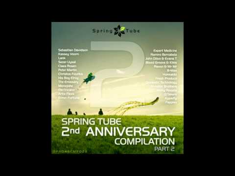 Hokkaido feat. Debbie Digital - Sigh For The Beauty (Domestic Technology Remix) [SPR046CMP02B]